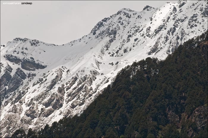 Snow clad peaks in the distance