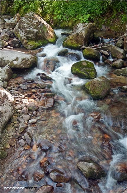 The forest stream where we drank from and rested after the insane descent from Jogni to Lapa