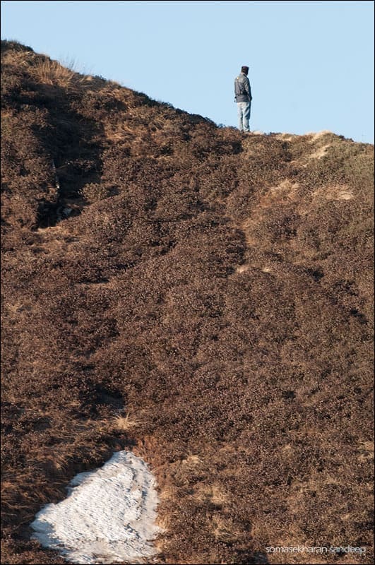 Sahastra on the lookout from a ridge atop Jogni