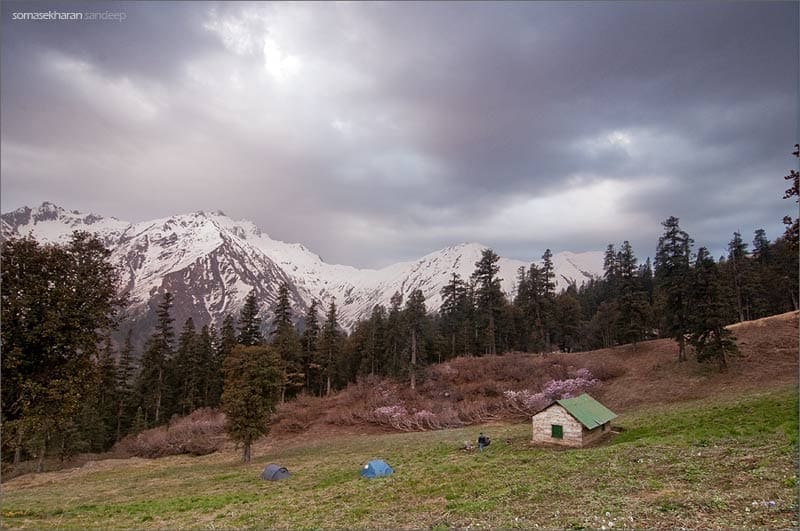 Campsite at Dhel Thatch