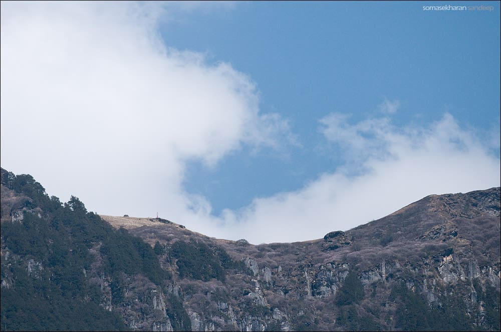 And that is Jogni from Lapa, through a telephoto lens