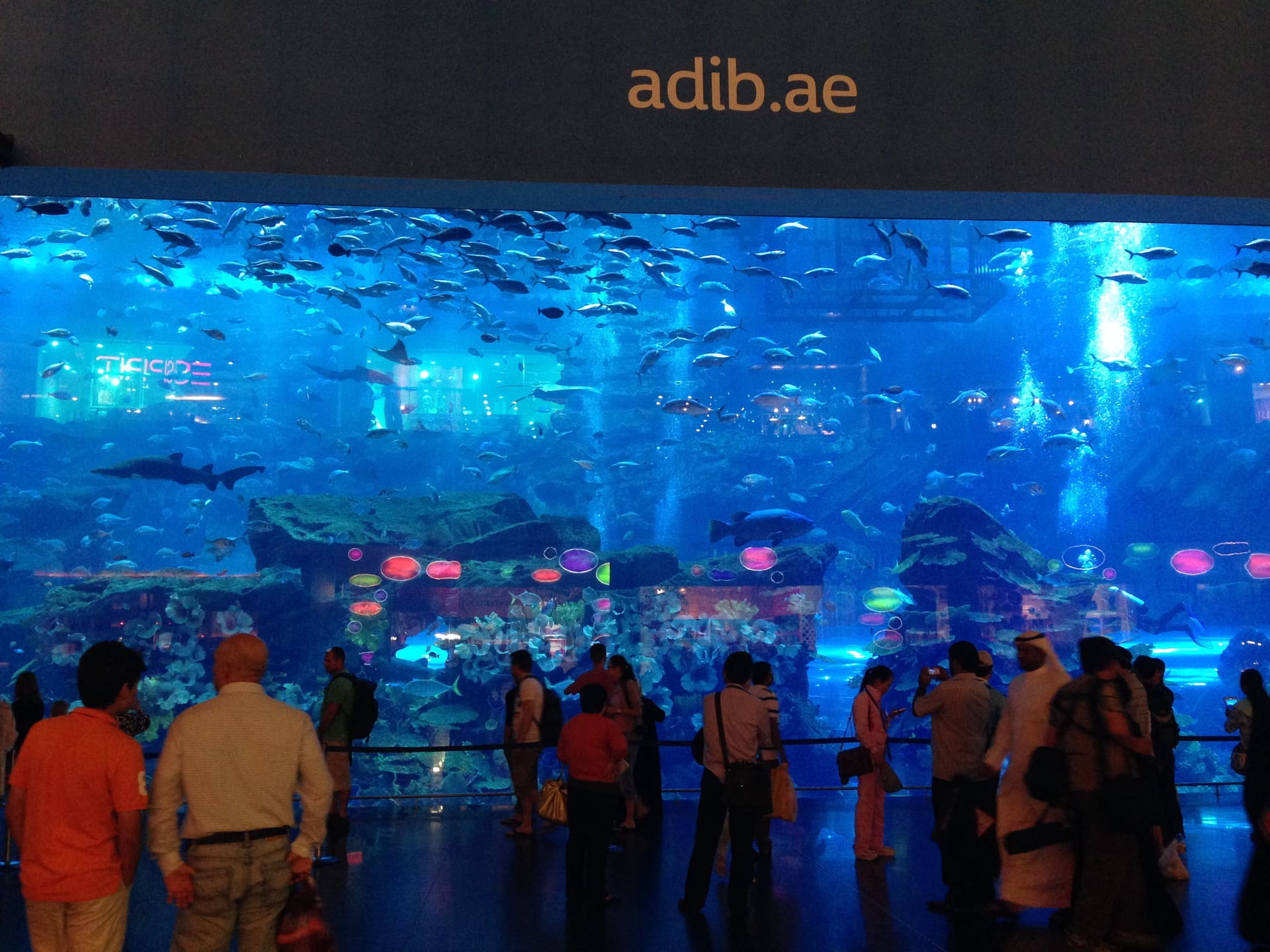 Mimicking the ocean for your entertainment is the Aquarium at Dubai Mall