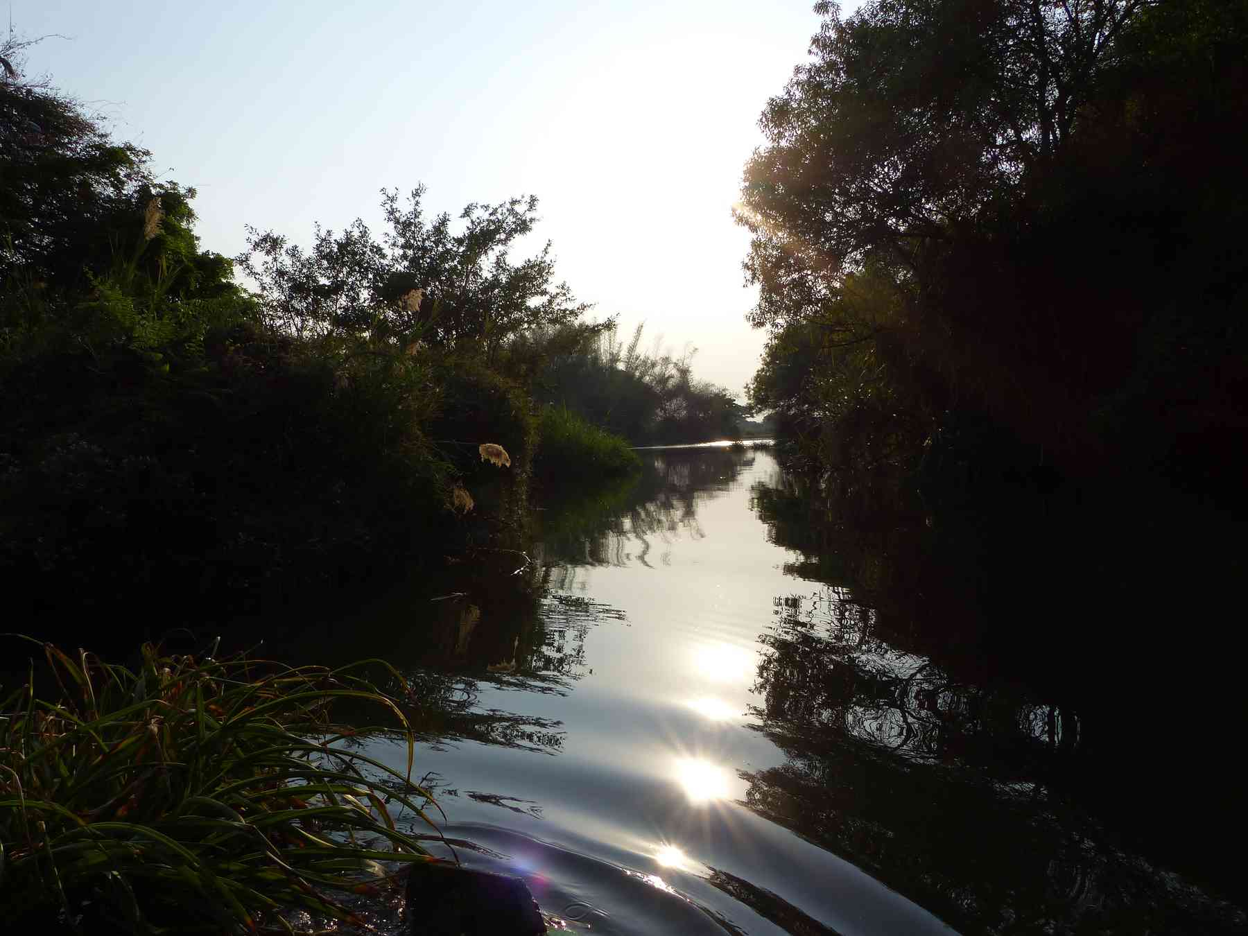 A river with reed beds always inspires poetry