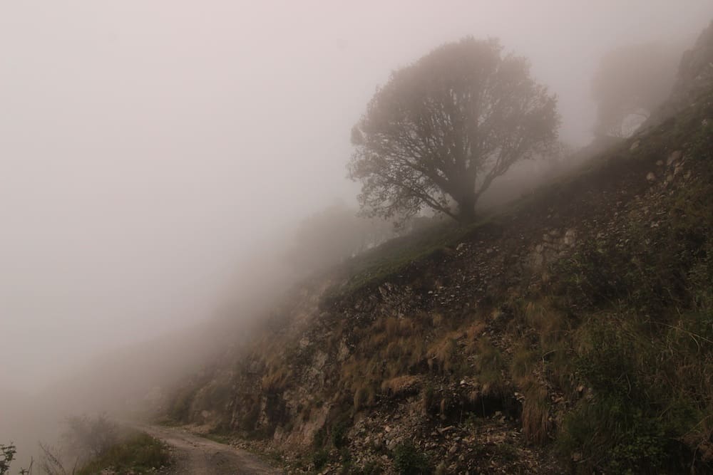 At Cheer Point a Tim Burton movie starts to roll