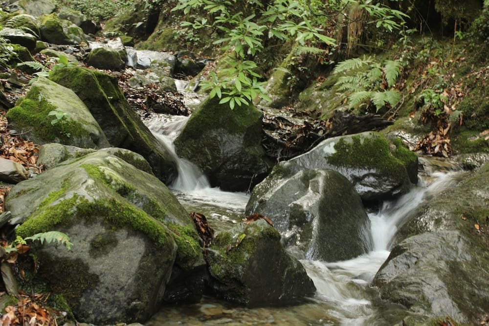 After the rain the trickles turned to streams