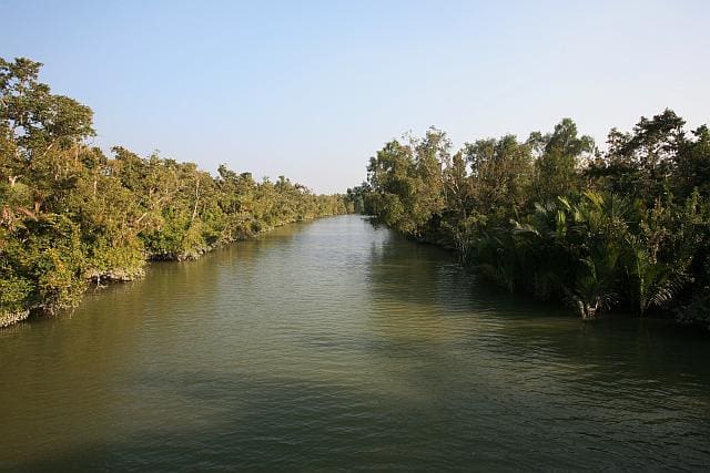 The Sundarbans are a meshwork of criss-crossing river channels