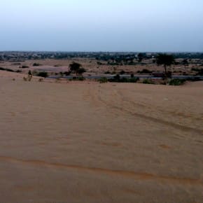 The incredible desert landscape from atop a dune at Dechu, en route to Jaisalmer from Jodhpur