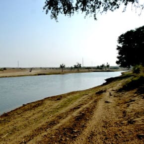 Jazia Talao, an oasis that never dries even in the summer, supplies water to nearby villages