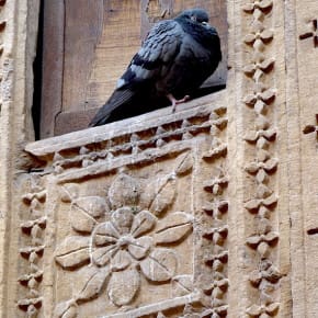 A pigeon naps inside an ornate cubbyhole in the vicinity of Jaisalmer's Golden Fort