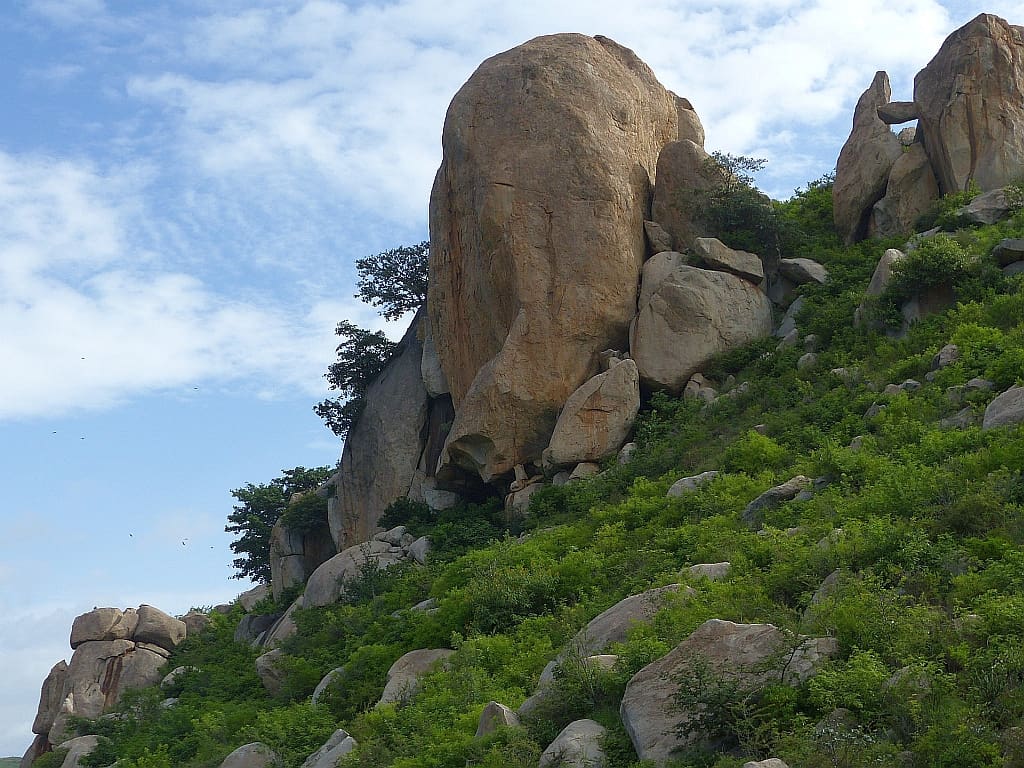 Cave Rock - Rishi Valley - Yellow-throated Bulbul Habitat