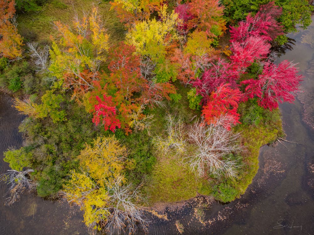 A bird's eye view of the fall